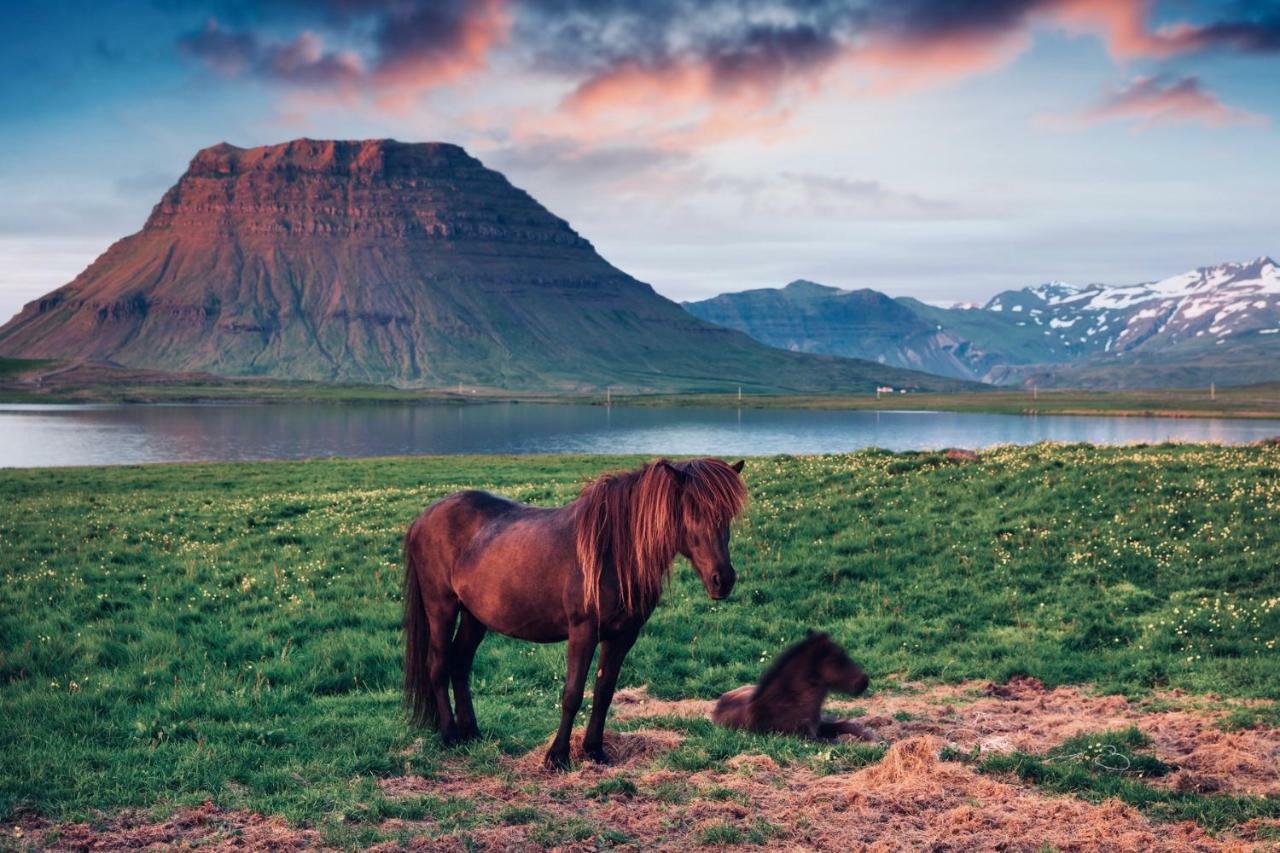 Experience Beautiful Iceland โอลาฟสวิค ภายนอก รูปภาพ