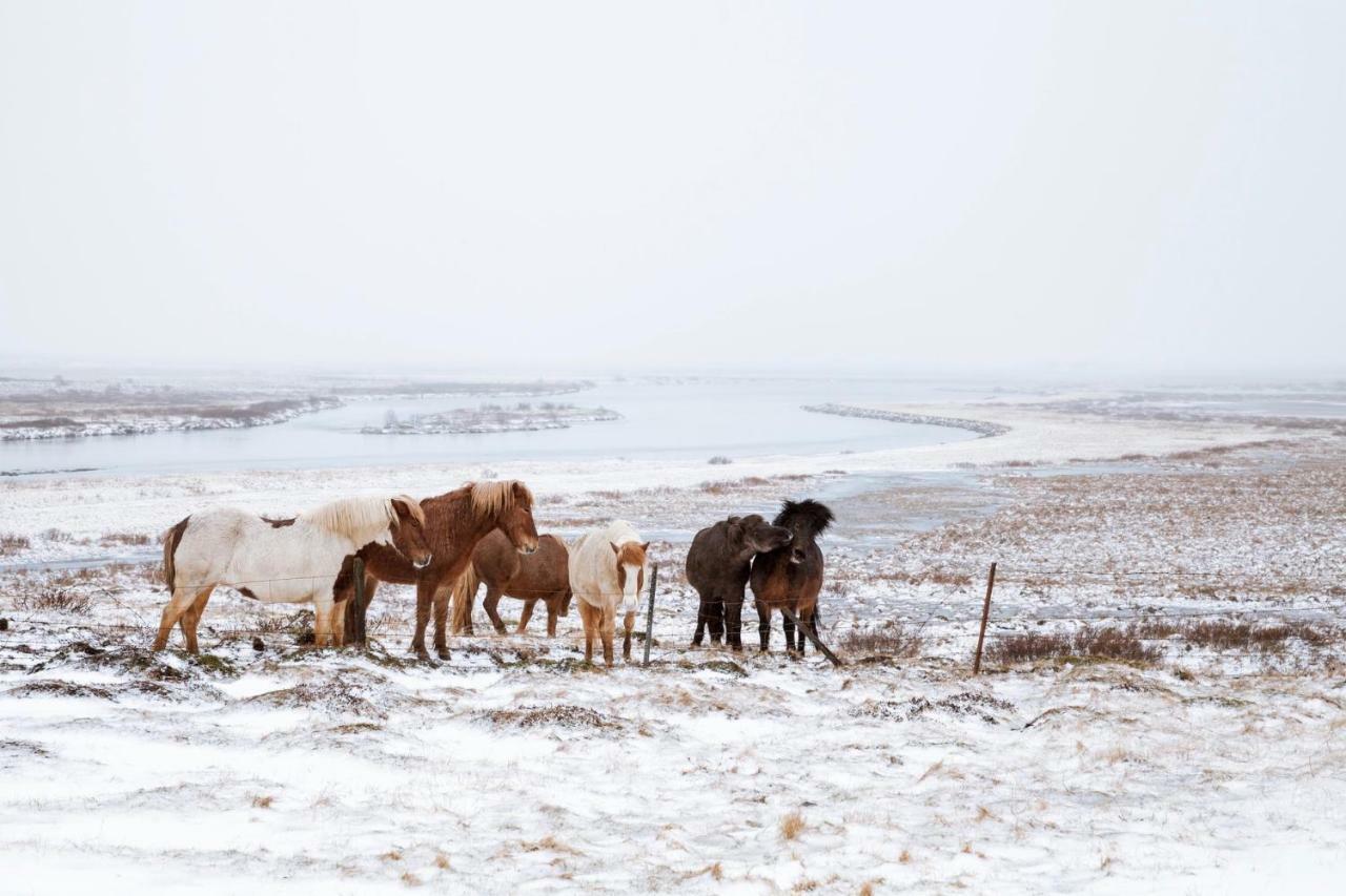 Experience Beautiful Iceland Villa โอลาฟสวิค ภายนอก รูปภาพ