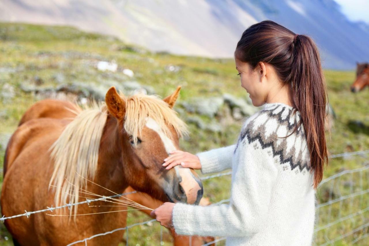 Experience Beautiful Iceland โอลาฟสวิค ภายนอก รูปภาพ