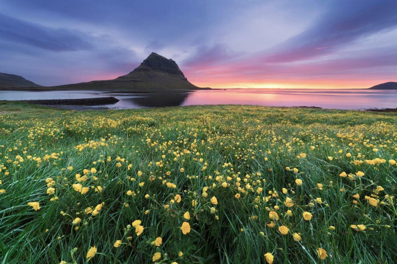 Experience Beautiful Iceland Villa โอลาฟสวิค ภายนอก รูปภาพ